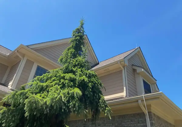 Best Lightning Protection Rods in Louisiana