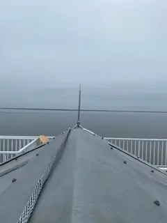 Louisiana Lightning Protection Rods