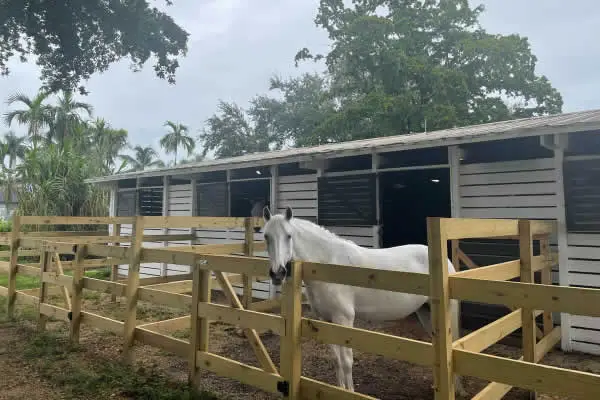 Horse Farm Lightning Protection Horse Farm Lightning Protection