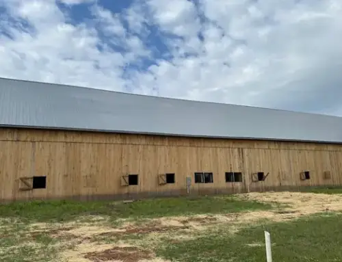 Does My Barn Need a Lightning Rod?