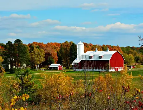 Why Are Barns Frequently Struck by Lightning?